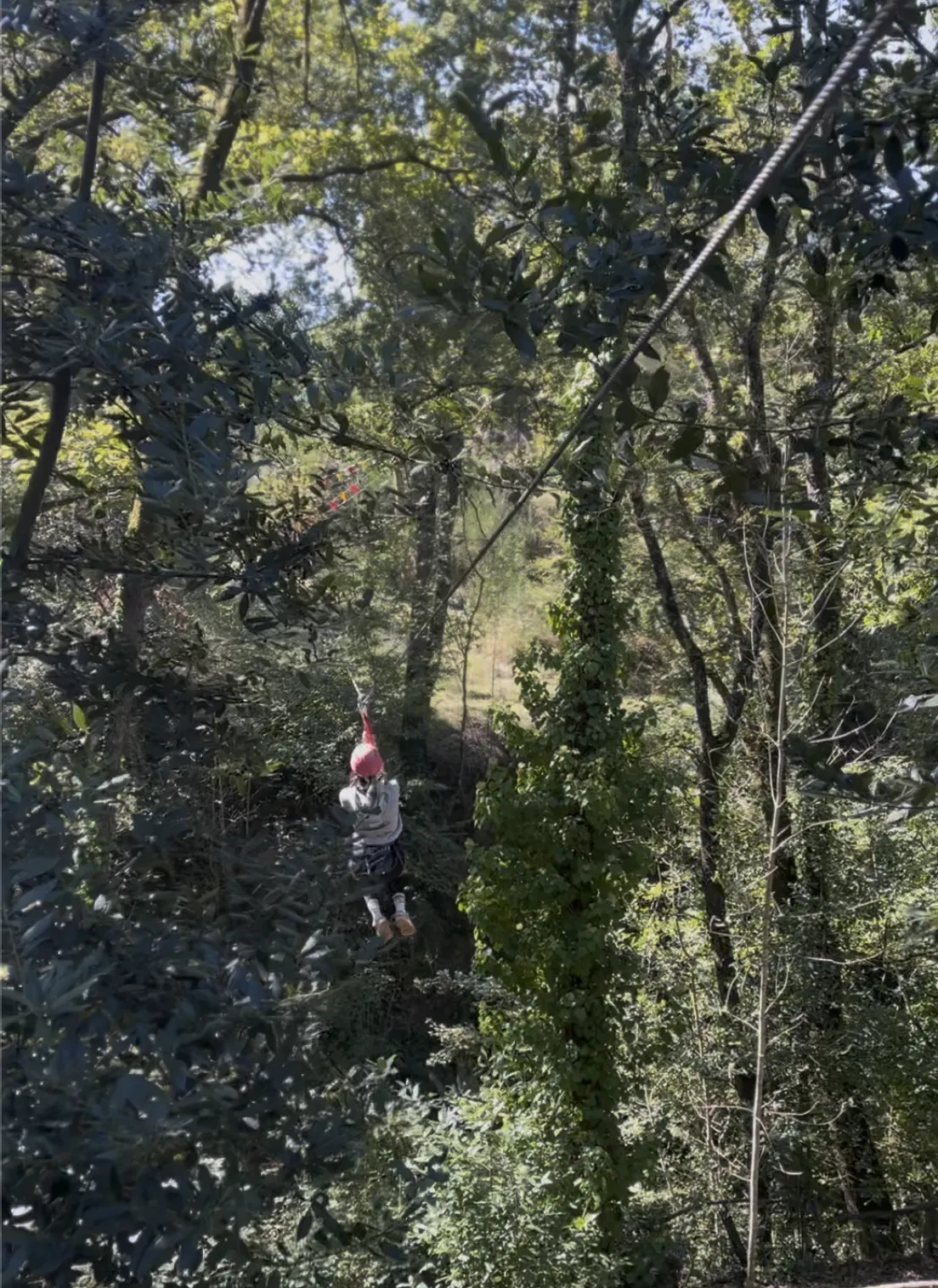 Zipline Experience al Villaggio Bushi