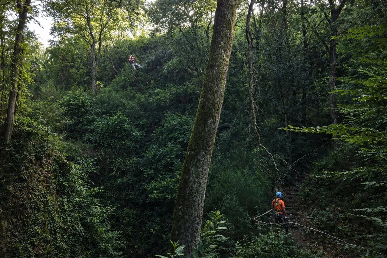 Zipline Experience