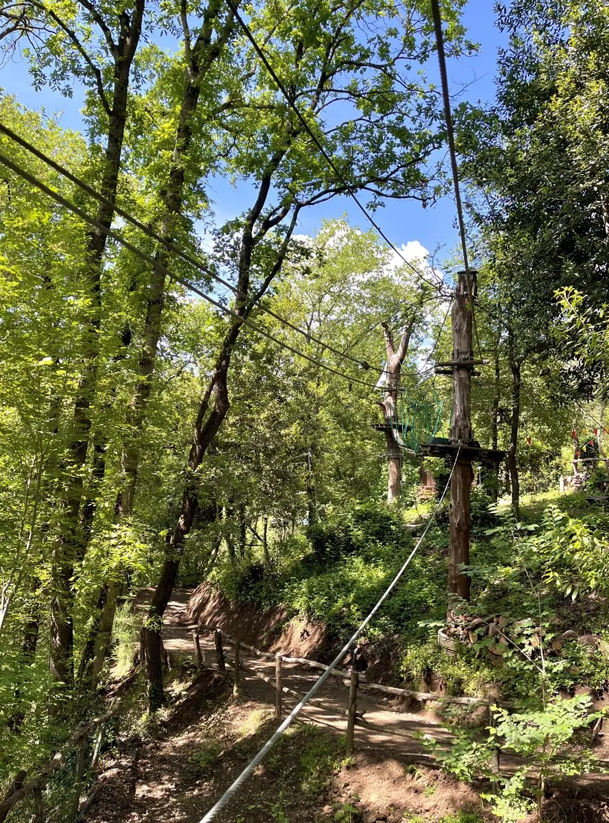 Percorso celeste cavi tra alberi