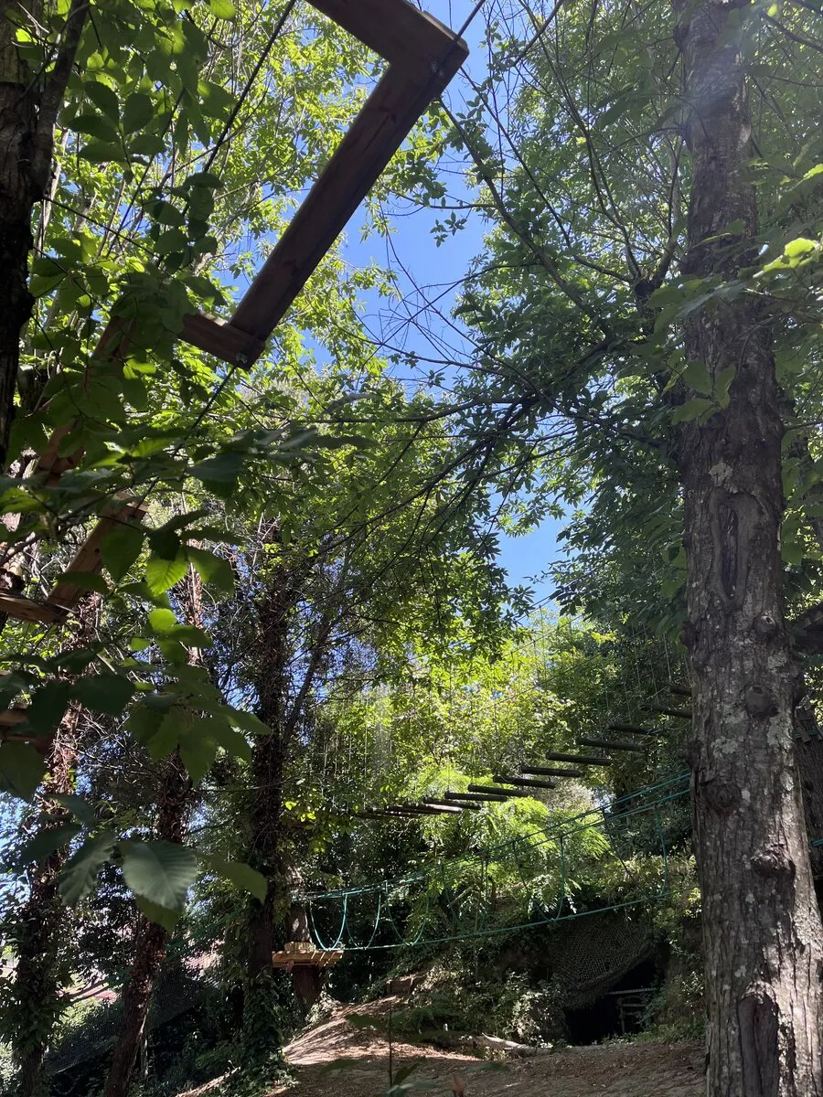 Percorso giallo ponte sospeso