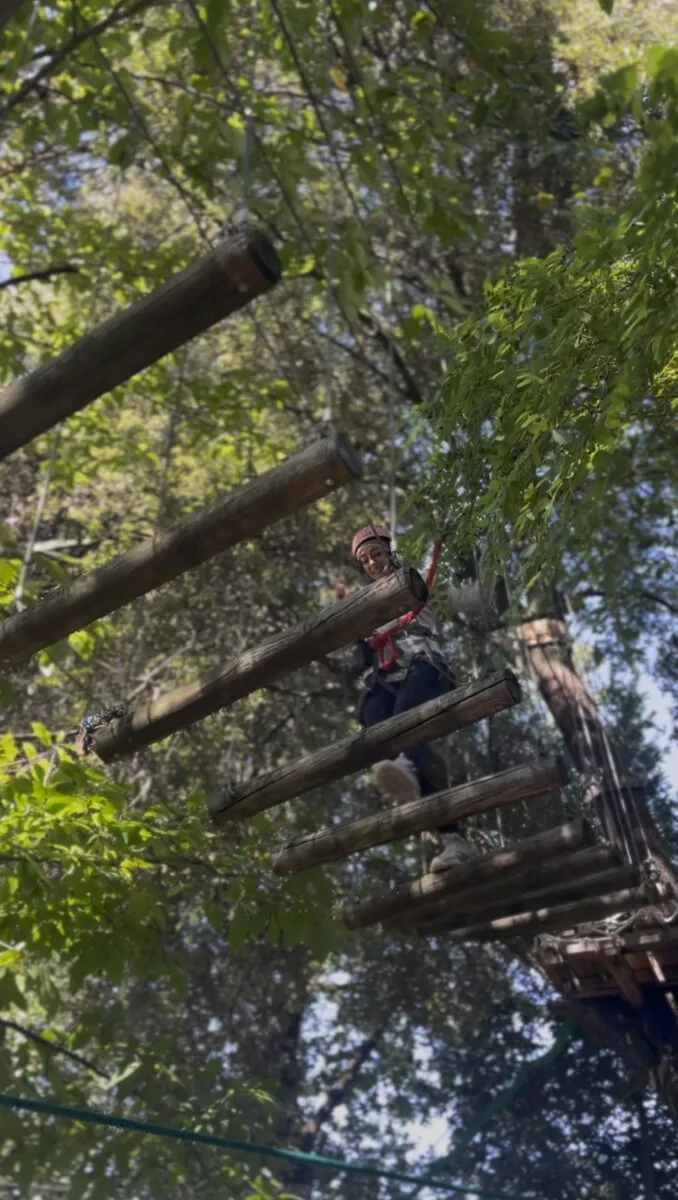 Percorso giallo scala tronchi